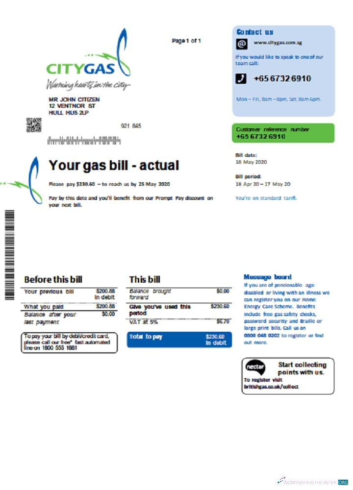 download download Singapore City Gas utility bill template in Word and PDF format PDF template PDF template